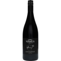 Today´s Special Appassimento Rosso 14,5% 0,75 ltr.