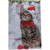 Cat Christmas Calendar 24 Doors With Real Meat Snack 120g