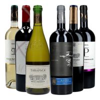 Chilean wine box - 6 bottles