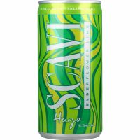 Scavi Hugo 5,5% 200ml